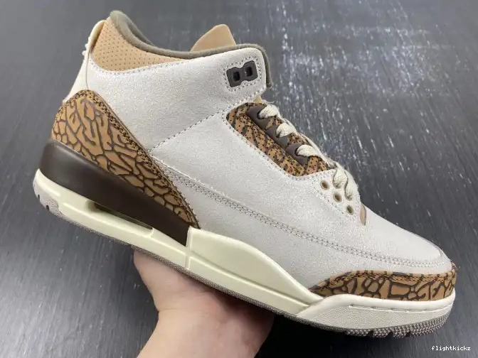 3 Air CT8532-102 Jordan Palomino 0603